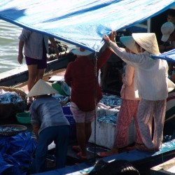 Vis in overvloed in Hoi An