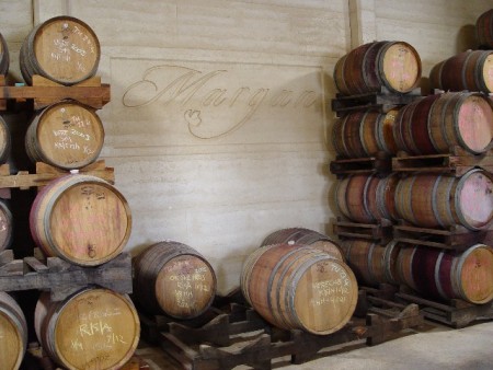 Margan winery