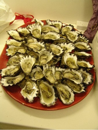 Tathra oesters perdozijnen