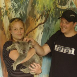 Koala aaien en meeaaien