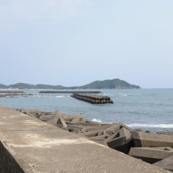 Tetrapods voor de kust