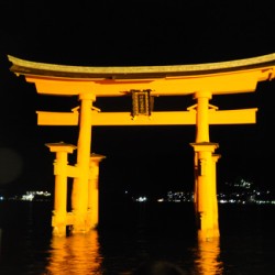 Torii bij nacht