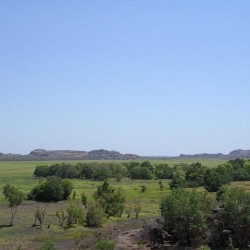 Groene vlaktes zonder groot wild