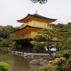 Kin -kaku-ji, Gouden tempel