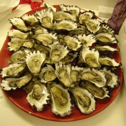 Tathra oesters perdozijnen
