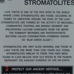 Stromaliet info